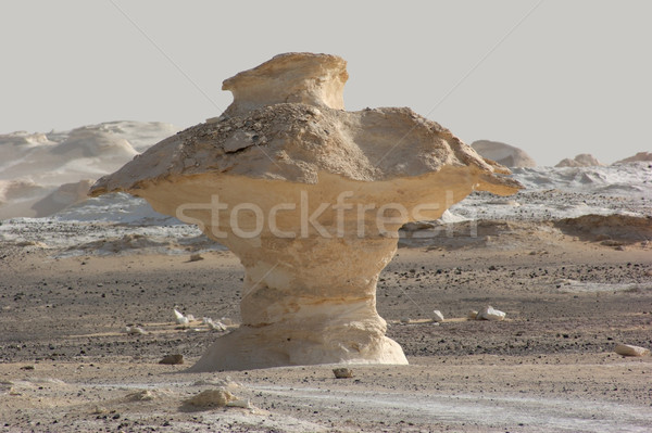 Egypte blanche désert formation rocheuse nature paysage [[stock_photo]] © prill