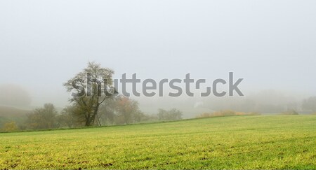 Misty autunno scenario rurale meridionale Foto d'archivio © prill