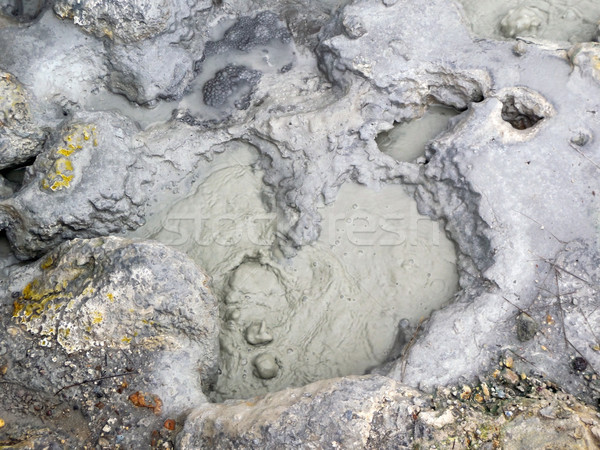 Hot spring in Iceland Stock photo © prill