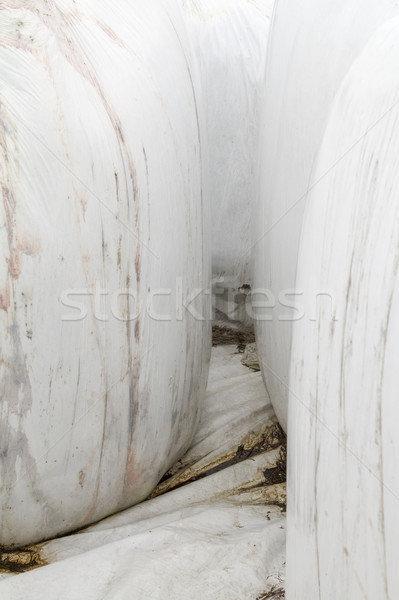 abstract contamination theme Stock photo © prill