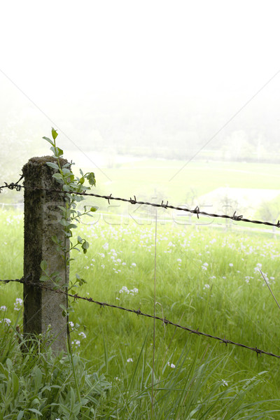 rural fence detail Stock photo © prill