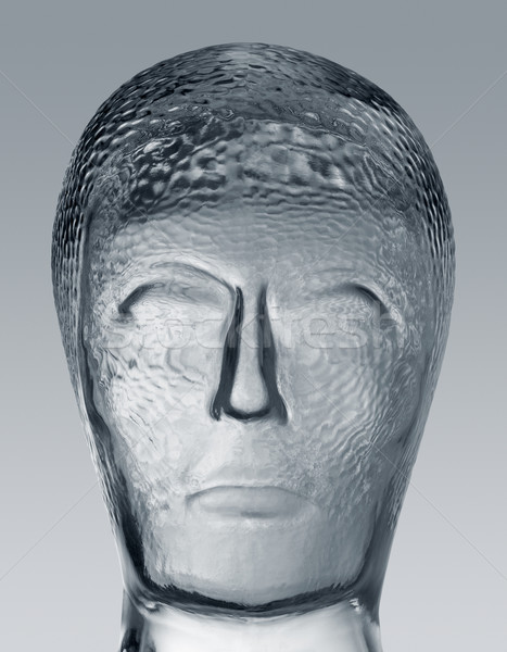 glass head profile Stock photo © prill