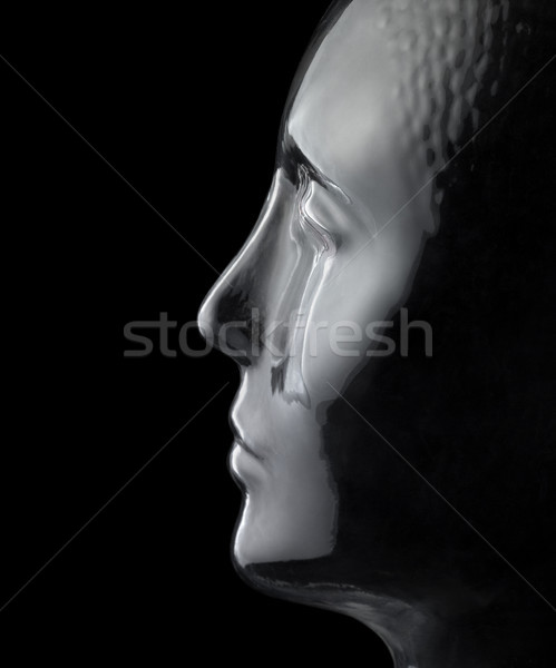 glass head profile Stock photo © prill