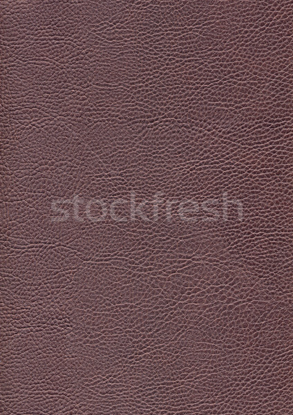 synthetic leather structure Stock photo © prill