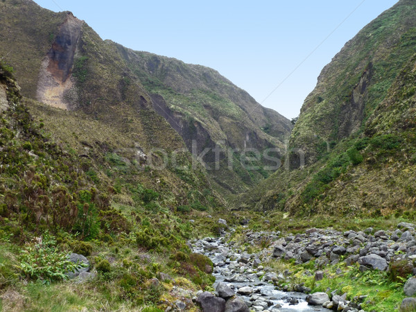 rocky landscape at the Azores Stock photo © prill
