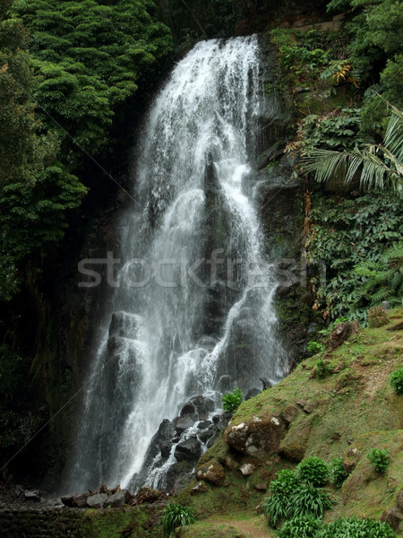 cascade at the Azores Stock photo © prill