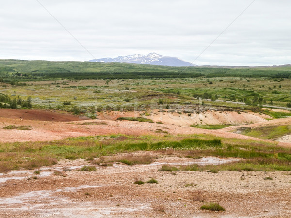 Panorama Islanda abbandonato naturale erba natura Foto d'archivio © prill
