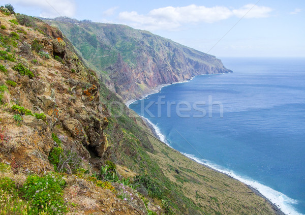 Island named Madeira Stock photo © prill