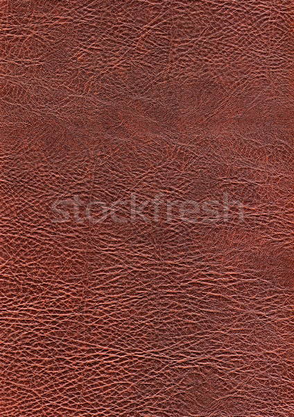 Full-frame piele abstract maro epocă model Imagine de stoc © prill