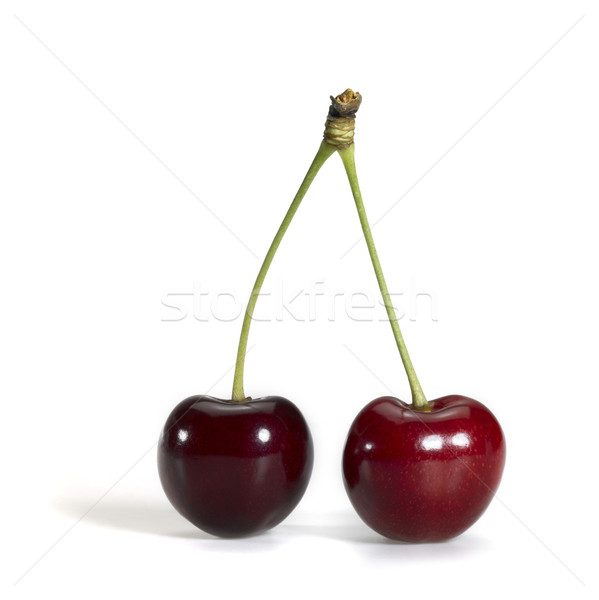 perfect red cherry Stock photo © prill