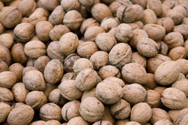 full frame walnut background Stock photo © prill