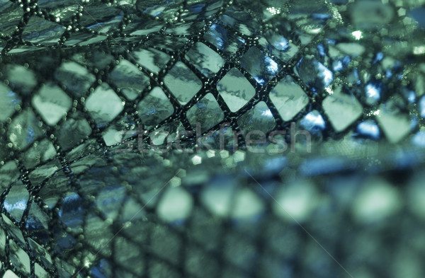 greenish metallic sequined back Stock photo © prill