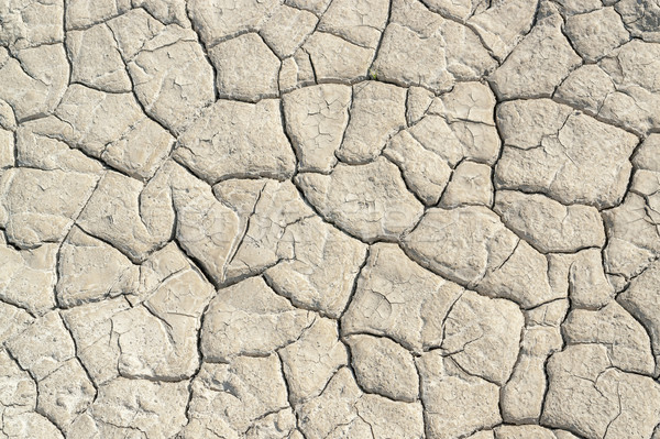 dry soil surface Stock photo © prill