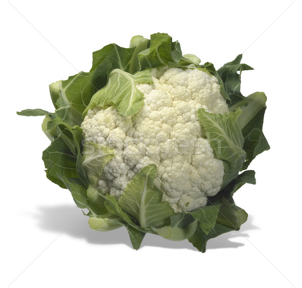 isolated cauliflower Stock photo © prill