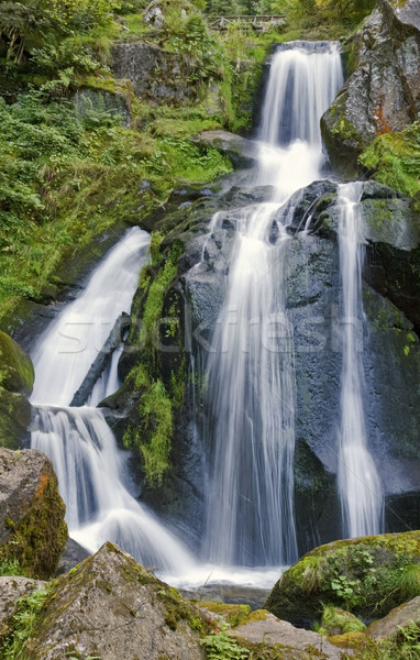 idyllic Triberg Waterfalls Stock photo © prill