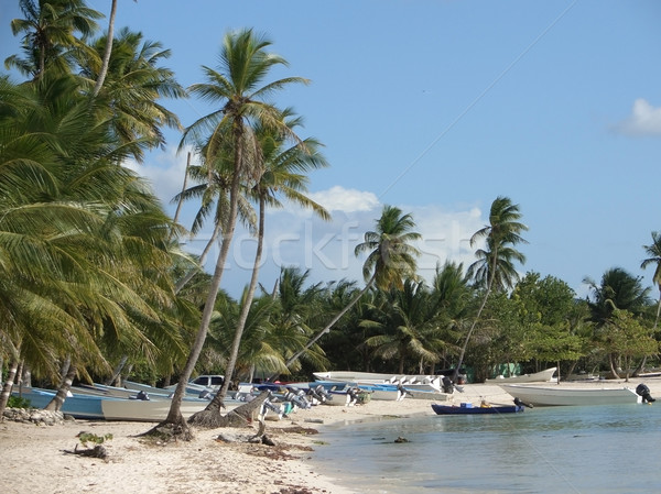 Dominican Republic beach scenery Stock photo © prill