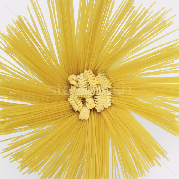 radial spaghetti and radiatori Stock photo © prill