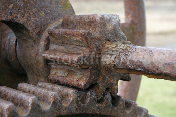 rusty gear wheels Stock photo © prill