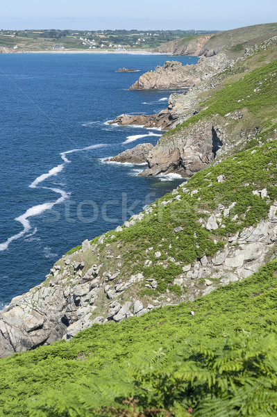 Dekoracje około morza Urwisko wybrzeża Zdjęcia stock © prill