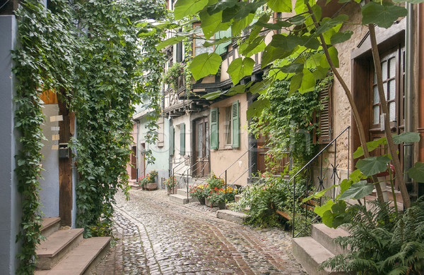 Idílico paisaje pueblo verano arquitectura callejón Foto stock © prill