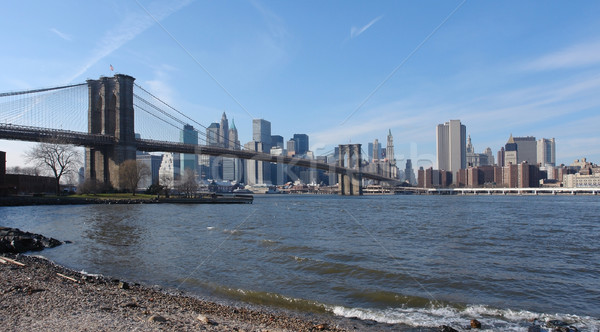 New York skyline and Brooklyn Bridge Stock photo © prill
