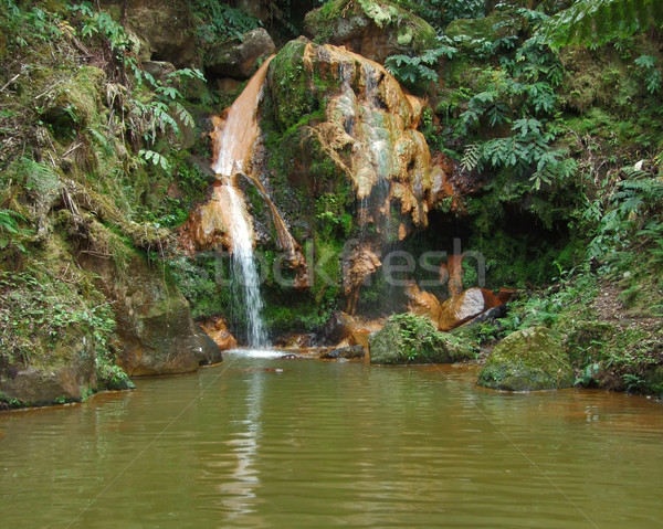 waterfall at Sao Miguel Island Stock photo © prill