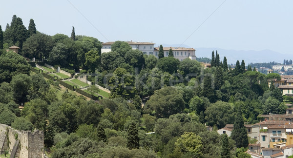 Florenţa însorit panoramic vedere in jurul Imagine de stoc © prill