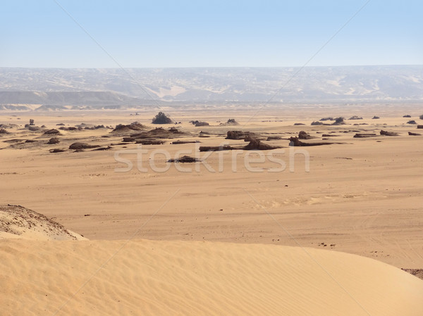 Em torno de deserto cenário histórico oásis Egito Foto stock © prill