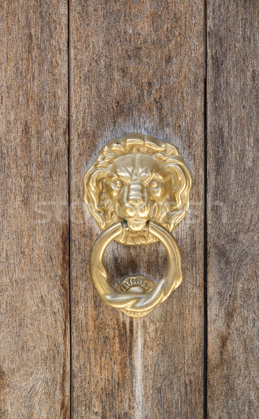 historic door knocker Stock photo © prill