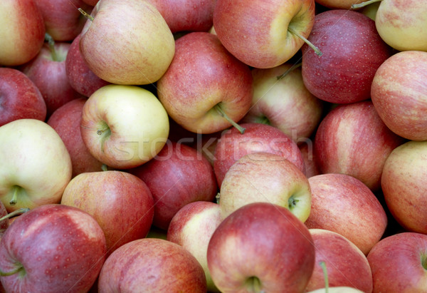 full frame apple background Stock photo © prill