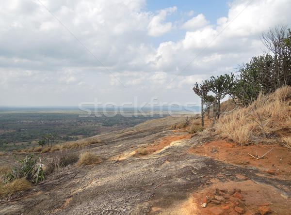 around Sigiriya Stock photo © prill