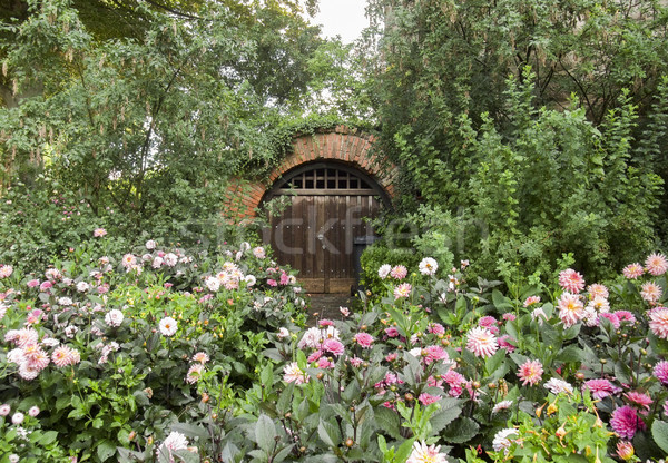 [[stock_photo]]: Historique · cave · entrée · fleurs · autre · végétation