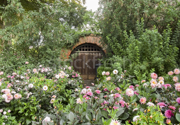 Storico cantina ingresso fiori altro vegetazione Foto d'archivio © prill