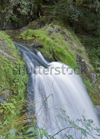 Triberg Waterfalls detail Stock photo © prill