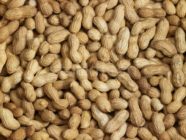 lots of peanuts Stock photo © prill