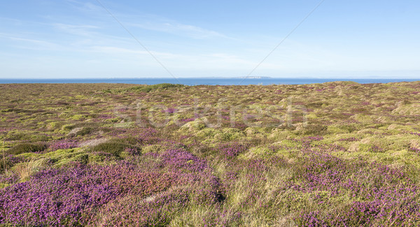 Pointe du Van in Brittany Stock photo © prill