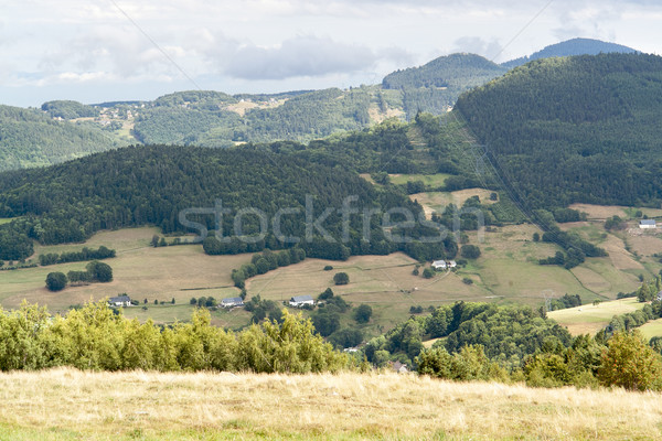 Vosges scenery Stock photo © prill