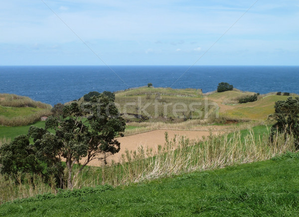 coastal scenery at the Azores Stock photo © prill