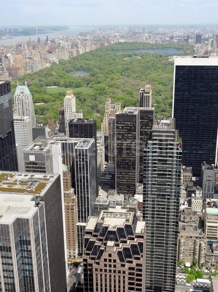 In giro Central Park New York view USA Foto d'archivio © prill