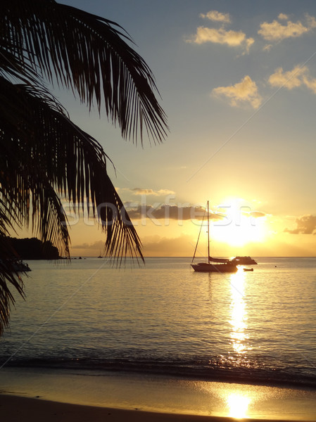 Wieczór dekoracje zachód słońca Karaibów wyspa Zdjęcia stock © prill