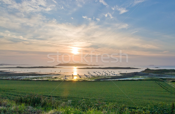 Foto stock: Puesta · del · sol · rosa · granito · costa · idílico · barcos