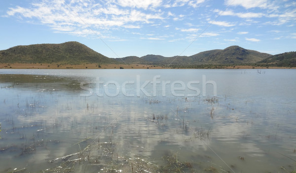 Spiel Reserve Landschaft Südafrika Natur Afrika Stock foto © prill