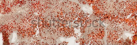 Graso hígado detalle fotograma completo resumen microscópico Foto stock © prill