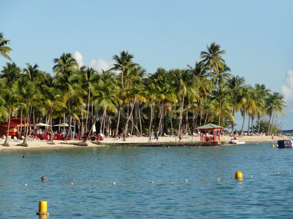 caribbean beach scenery Stock photo © prill