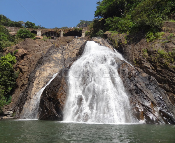 Bhagwan Mahaveer Sanctuary and Mollem National Park Stock photo © prill
