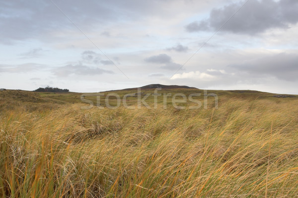 scottish hilly grassland Stock photo © prill