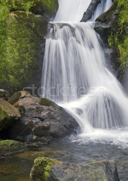 detail of the Triberg Waterfalls Stock photo © prill