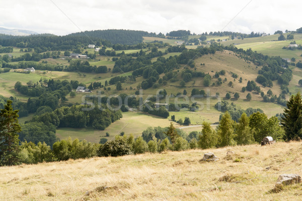 Vosges scenery Stock photo © prill