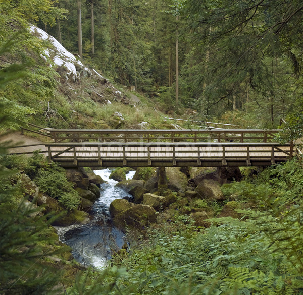 Holz Brücke herum Wasserfälle Landschaft schwarz Stock foto © prill