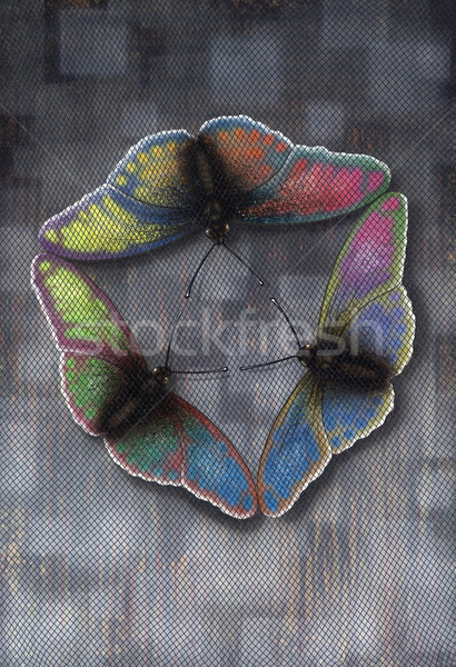 Butterflies Flight Stock photo © prill
